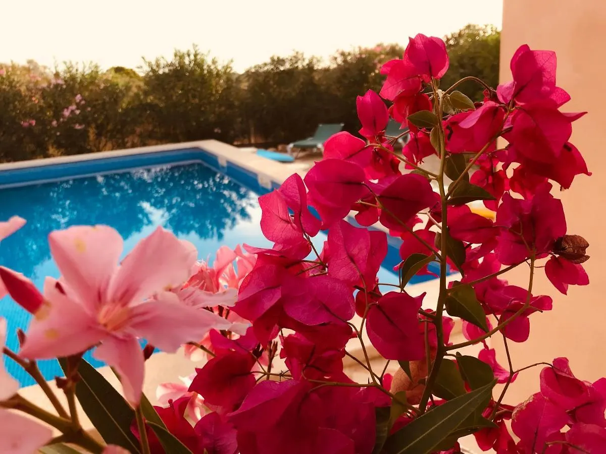 CASA Luz Solar - schöne Finca in Strandnähe, Privatpool, Klimaanlage, Wifi Santanyí Ferienhaus